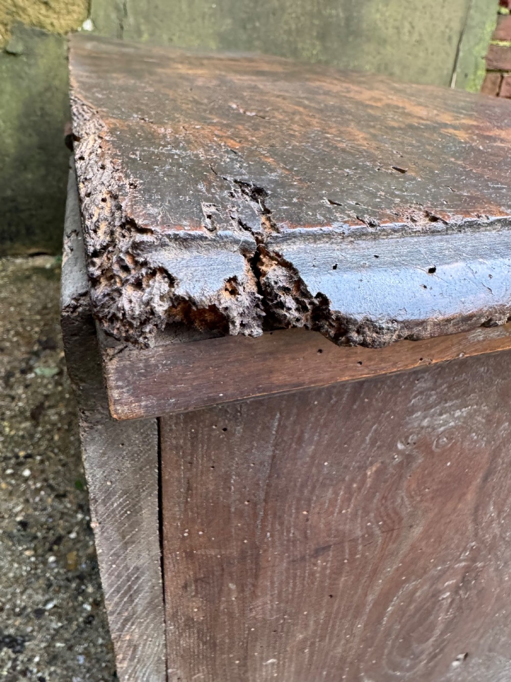 Early Elm Plank Coffer  View XIV
