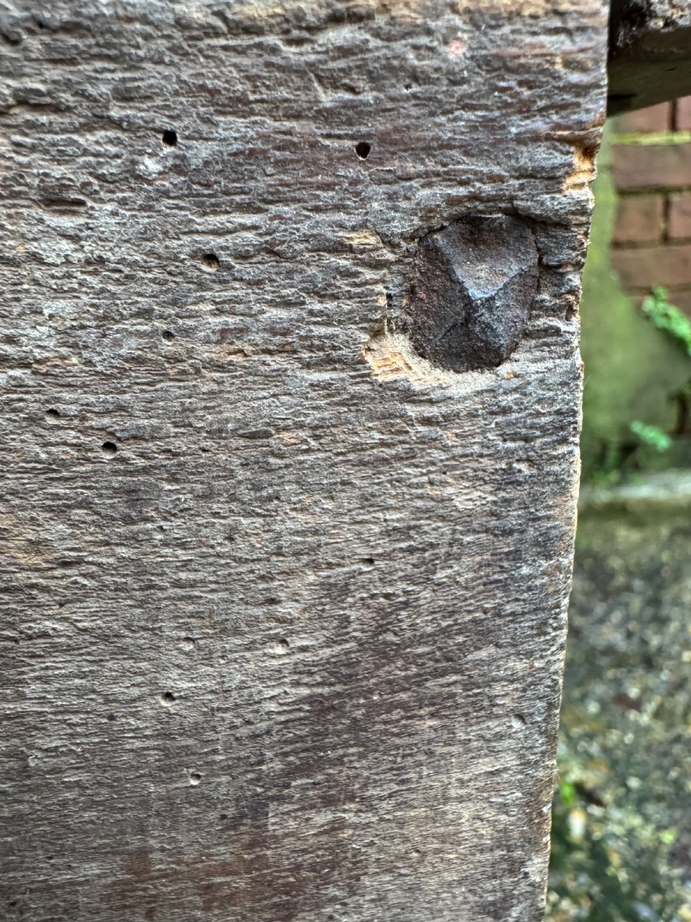 Early Elm Plank Coffer  View XVI