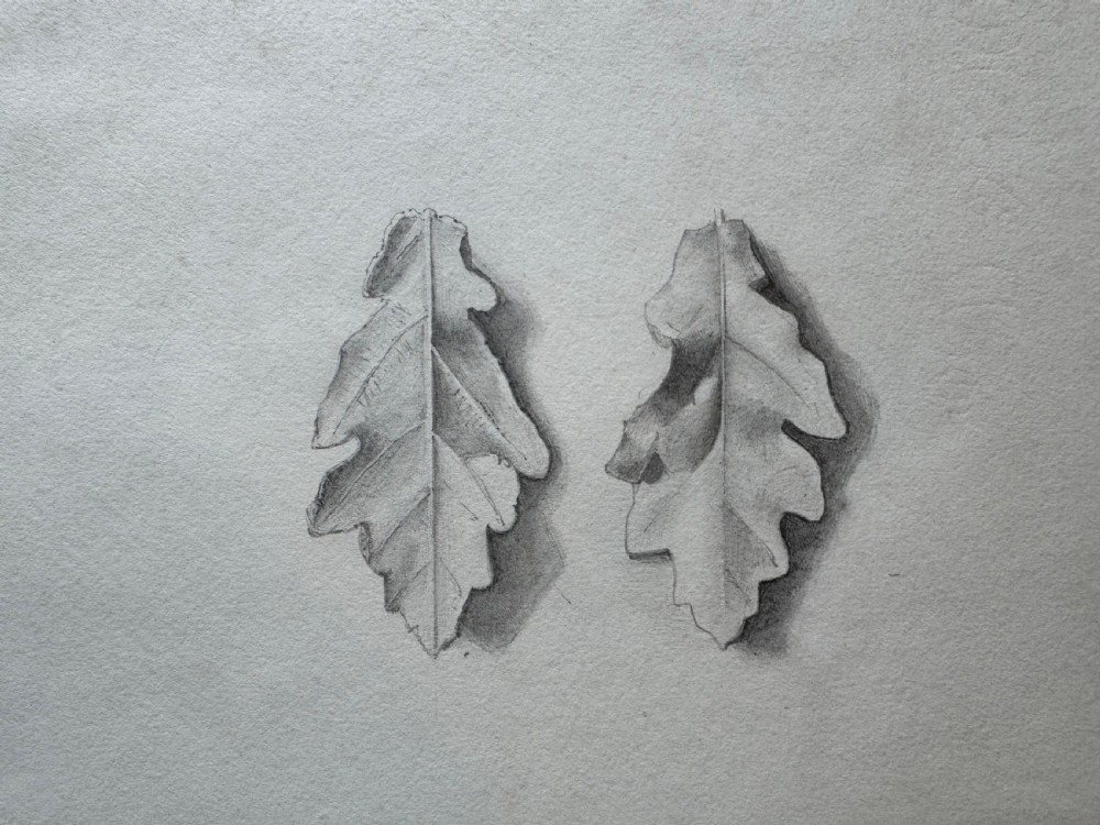 Antique Sketchbook  View VII