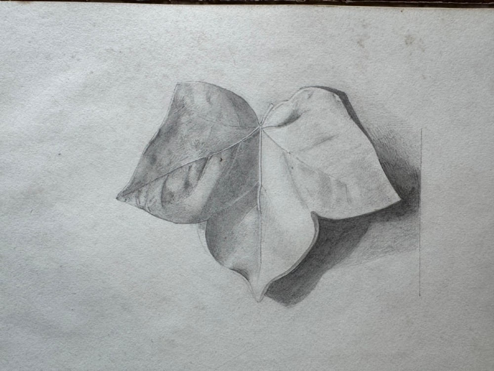 Antique Sketchbook  View VIII