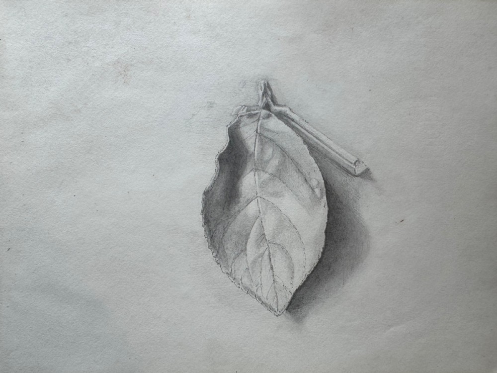 Antique Sketchbook  View IX