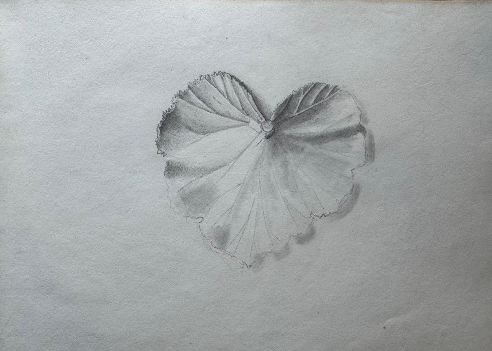 Antique Sketchbook  View X