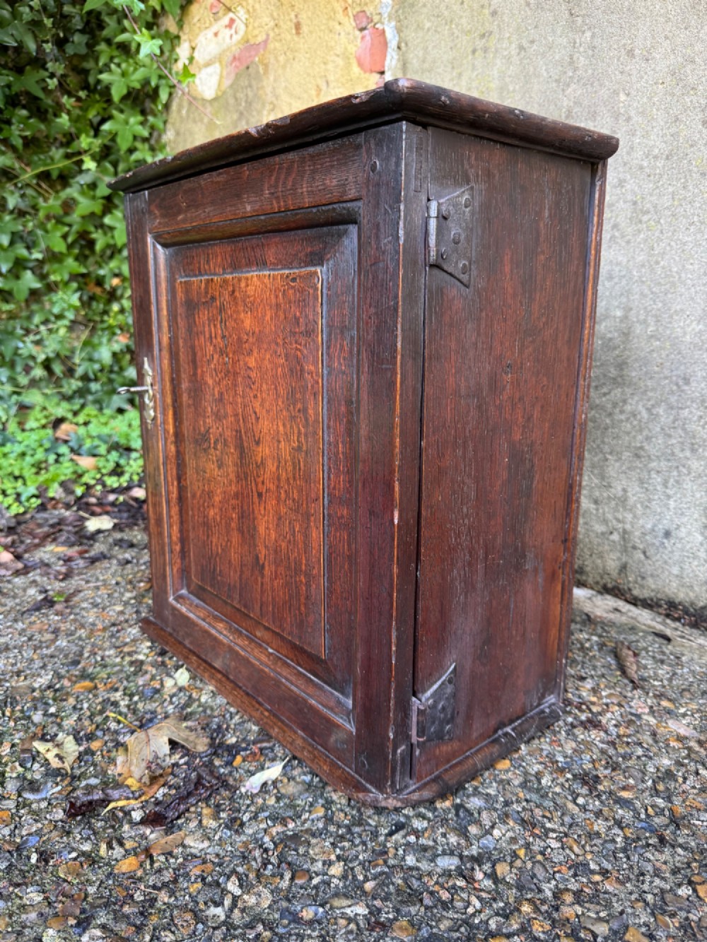 A small dark oak cupboard featuring a single fielded panel door with a brass keyhole escutcheon. View II