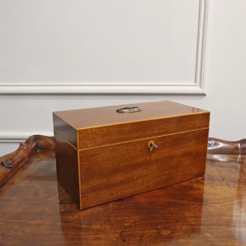 William IV Mahogany Tea Caddy