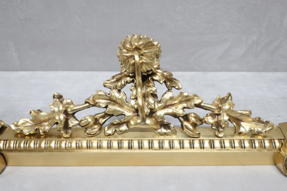 FRENCH BRASS GILT FENDER View VII