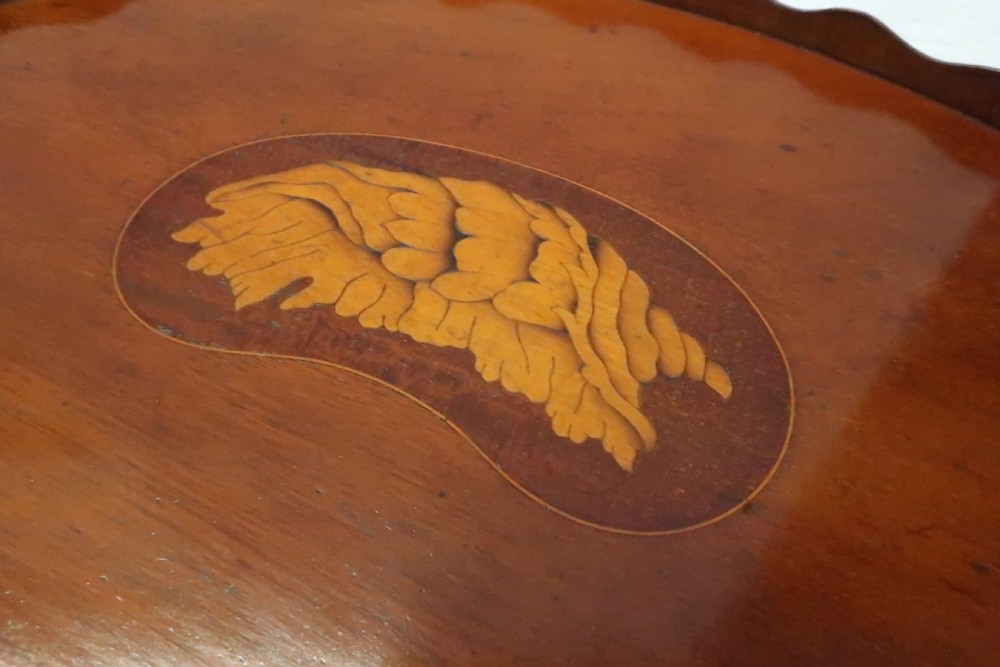 GEORGIAN MAHOGANY KIDNEY SHAPED SERVING TRAY View IV