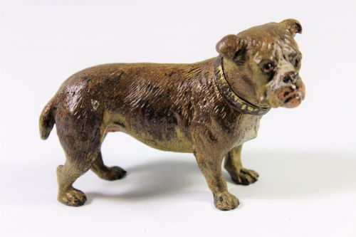 Large Austrian Cold Painted Bronze Pug Marked 'Gerschutz' C1900-20