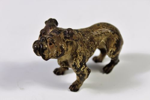 Austrian Cold Painted Bronze Bulldog C1900-20