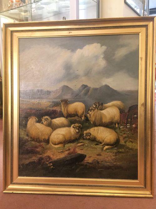 Alfred Morris Renowned English Painter, Large Highland Sheep Oil 1873