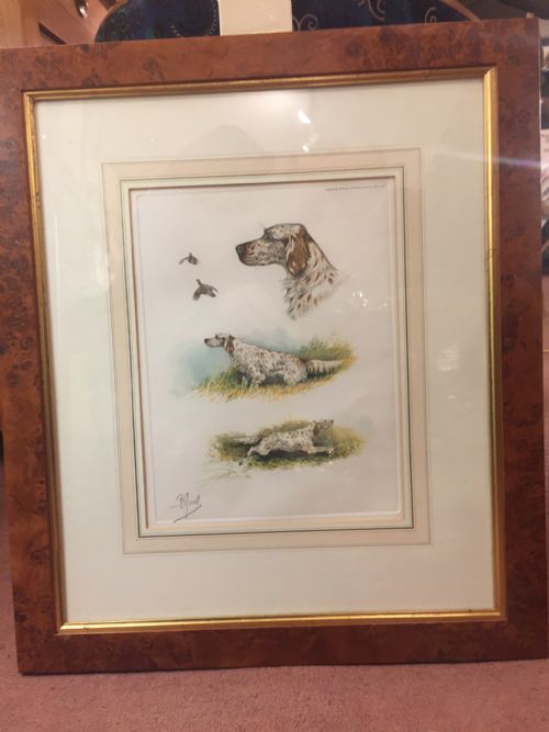 Original French Lithograph of a Spaniel C.1910