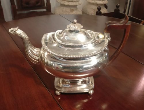 Large English Old Sheffield Plate Coffee Pot with Fruitwood Handle C1820
