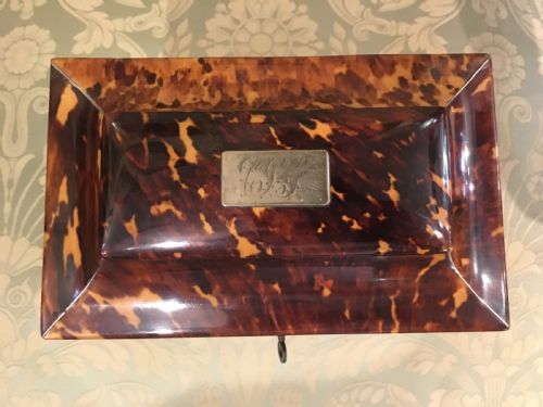 GEORGIAN TORTOISESHELL TEA CADDY TRIMMED WITH SILVER IVORY - ADDITIONAL PHOTO 4