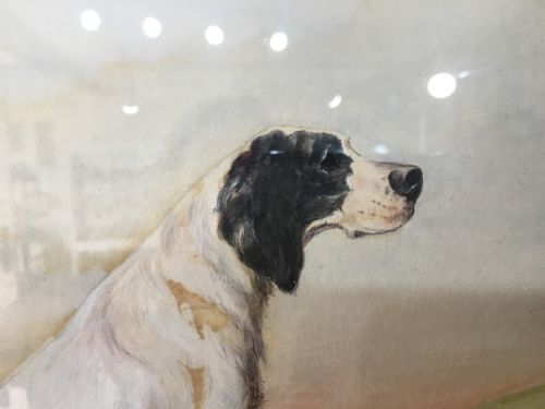 A B BARNES SIGNED PAIR OF ORIGINAL WATERCOLOURS OF HUNTING DOGS 1930 - ADDITIONAL PHOTO 4