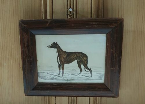 WATERCOLOUR OF GREYHOUND 1840 SIGNED BY ARTIST MOUNTED IN FRAME HANGING LOOP - ADDITIONAL PHOTO 2