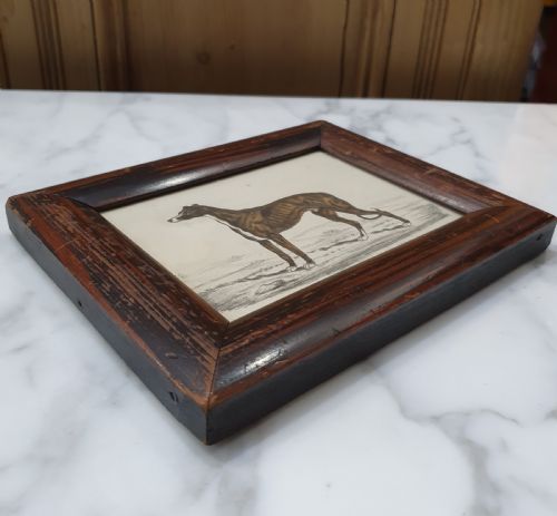 WATERCOLOUR OF GREYHOUND 1840 SIGNED BY ARTIST MOUNTED IN FRAME HANGING LOOP - ADDITIONAL PHOTO 3