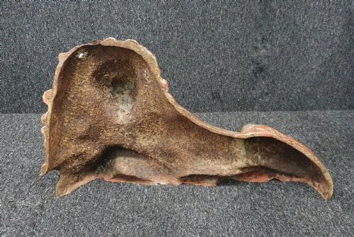VICTORIAN CAST IRON LION - ADDITIONAL PHOTO 3