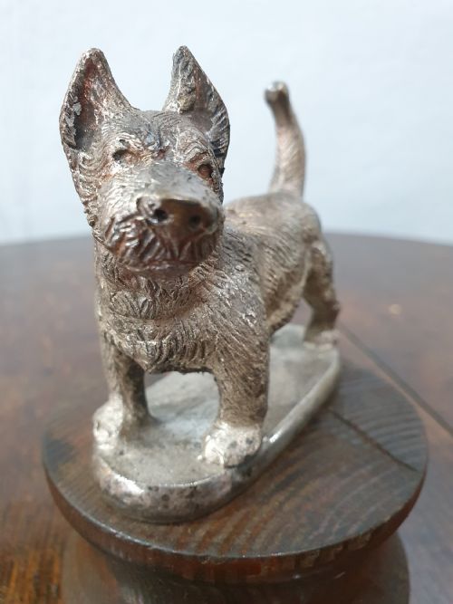 ORIGINAL BRONZE TERRIER CAR MASCOT C1930 - ADDITIONAL PHOTO 1