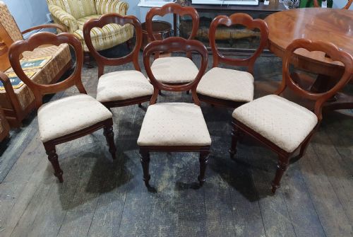 set of six victorian balloon back walnut chairs c18601880 - CATEGORY: ANTIQUE CHAIRS - DATED VICTORIAN