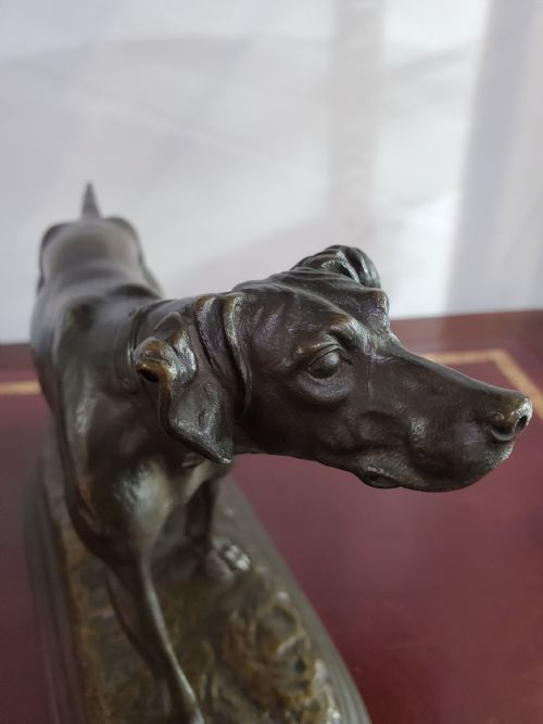 JULES MOIGNIEZ FRENCH BRONZE POINTER HUNTING DOG 19TH CENTURY - ADDITIONAL PHOTO 2