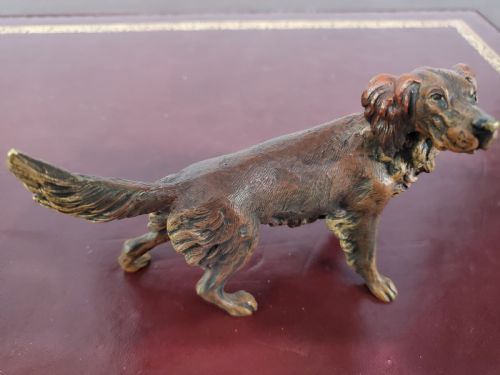 CARL KAUBA COLD PAINTED AUSTRIAN BRONZE SETTER DOG C1910 - ADDITIONAL PHOTO 2