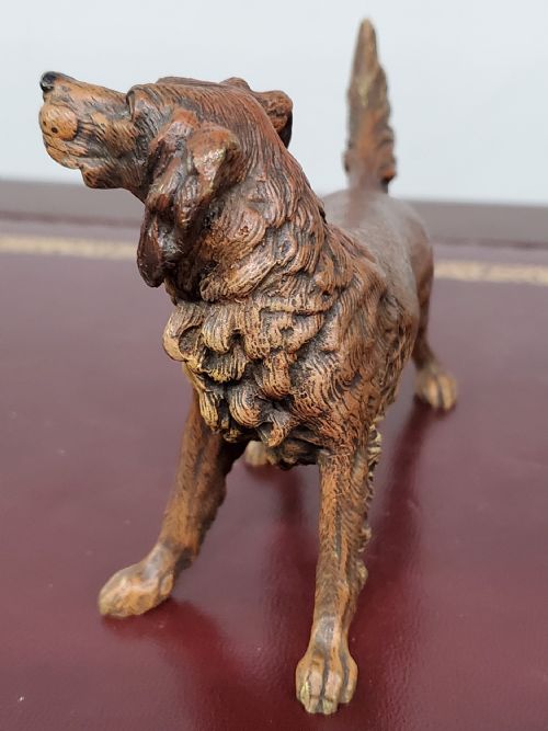 CARL KAUBA COLD PAINTED AUSTRIAN BRONZE SETTER DOG C1910 - ADDITIONAL PHOTO 8