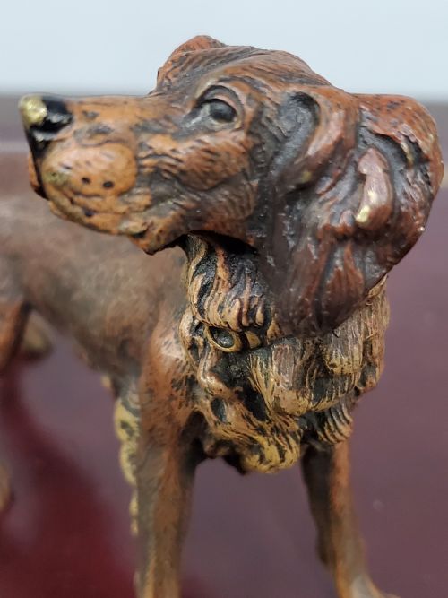 CARL KAUBA COLD PAINTED AUSTRIAN BRONZE SETTER DOG C1910 - ADDITIONAL PHOTO 3