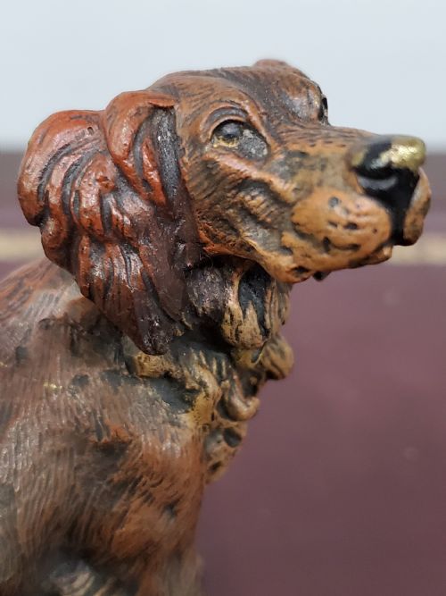CARL KAUBA COLD PAINTED AUSTRIAN BRONZE SETTER DOG C1910 - ADDITIONAL PHOTO 9