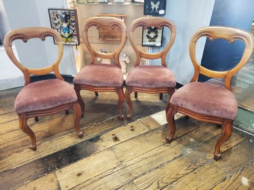 set of 4 victorian walnut balloon back dining chairs c1880 - CATEGORY: ANTIQUE CHAIRS - DATED VICTORIAN