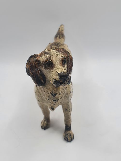 AUSTRIAN COLD PAINTED BRONZE SPANIEL DOG C1910 - ADDITIONAL PHOTO 1