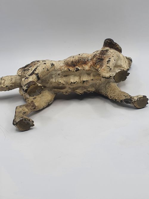 AUSTRIAN COLD PAINTED BRONZE SPANIEL DOG C1910 - ADDITIONAL PHOTO 4