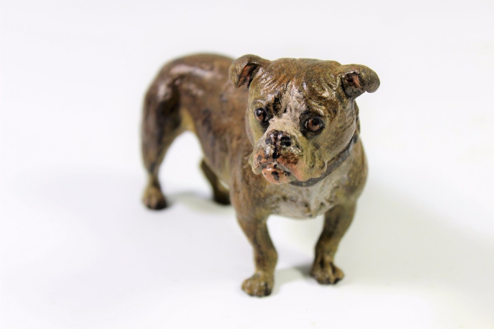 Large Austrian Cold Painted Bronze Pug Marked 'Gerschutz' c1900-20 View III