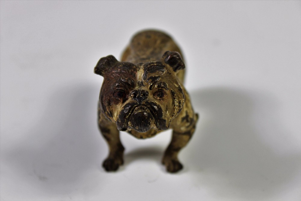 Austrian Cold Painted Bronze Bulldog c1900-20 View III