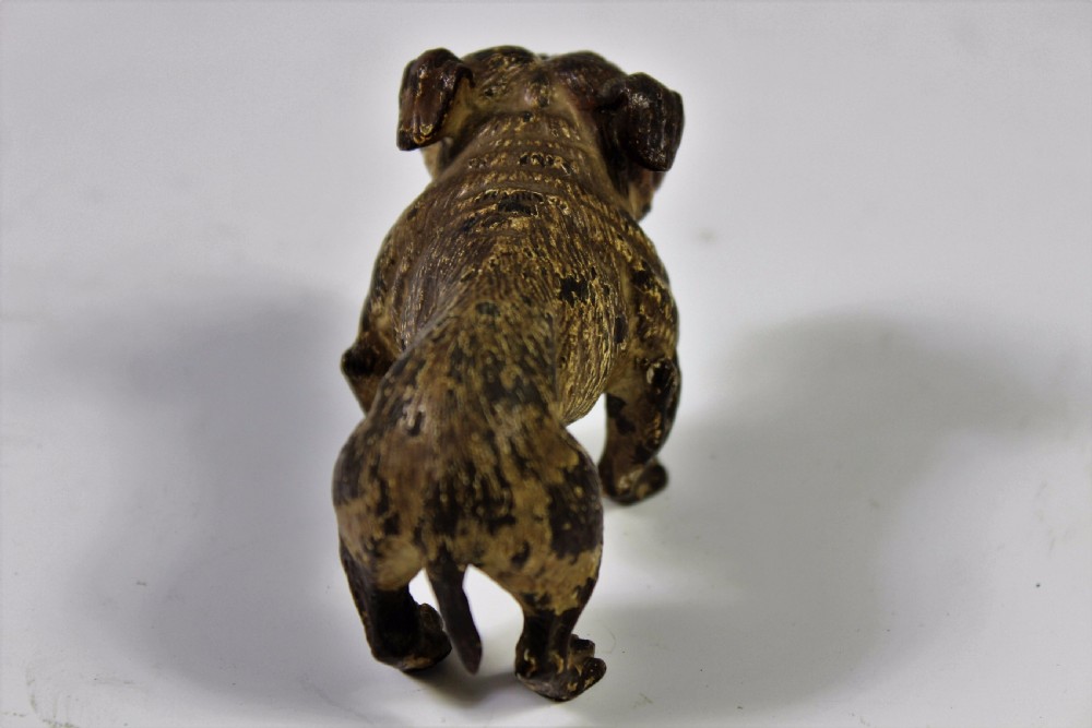 Austrian Cold Painted Bronze Bulldog c1900-20 View IV