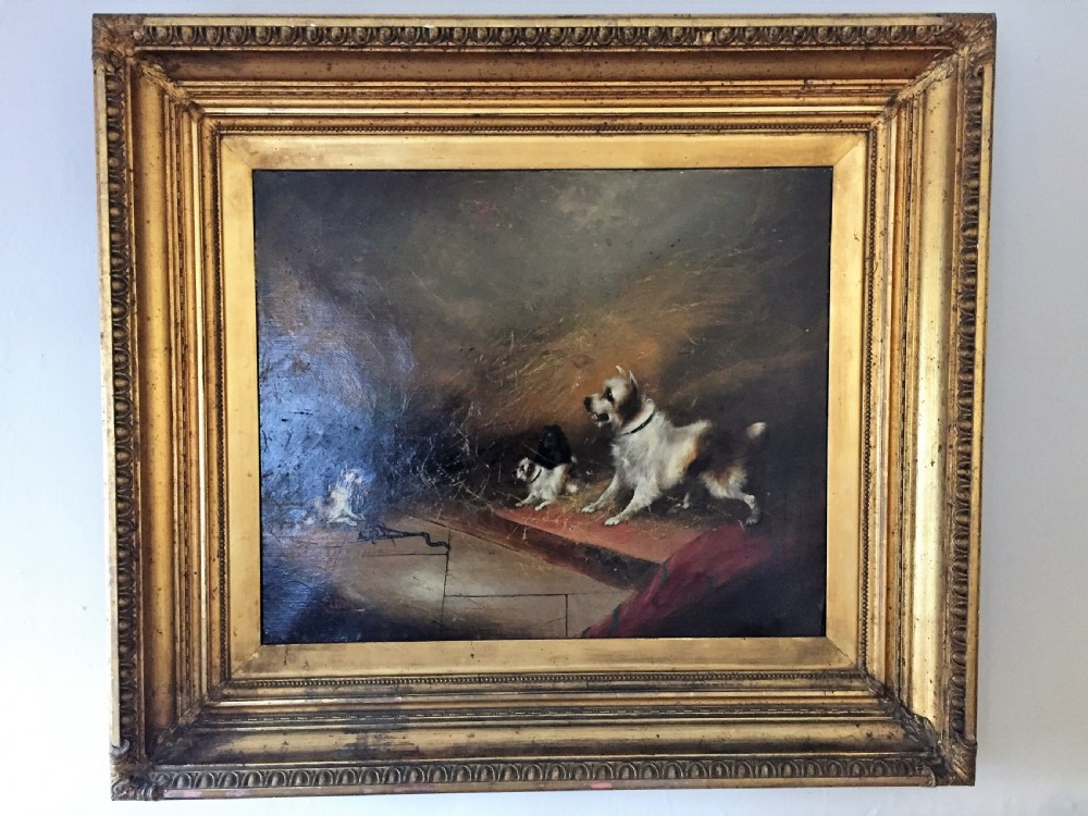 FRANK CASSELL (BRITISH, 19TH CENTURY), FOUR TERRIERS RATTING IN A BARN, SIGNED 