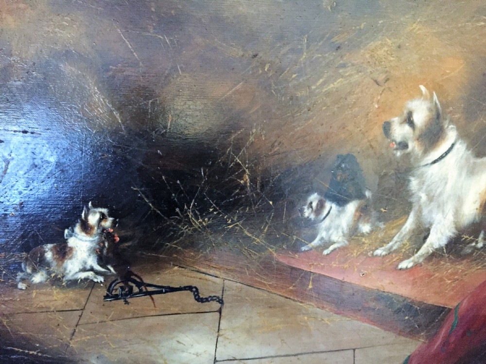 FRANK CASSELL (BRITISH, 19TH CENTURY), FOUR TERRIERS RATTING IN A BARN, SIGNED  View III