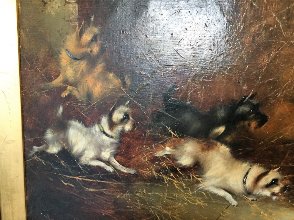 FRANK CASSELL (BRITISH, 19TH CENTURY), FIVE TERRIERS RATTING IN A BARN, SIGNED  View V