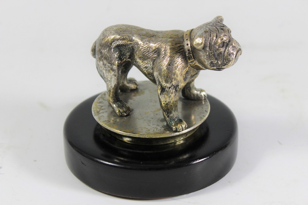 English art deco Silver Plated Bronze Bulldog car mascot c.1930 View III