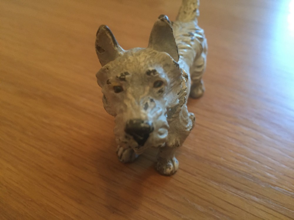 Original cold painted bronze West Highland terrier c.1910. View II