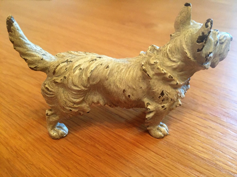 Original cold painted bronze West Highland terrier c.1910. View IV