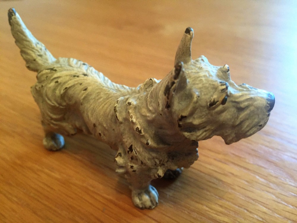 Original cold painted bronze West Highland terrier c.1910. View V