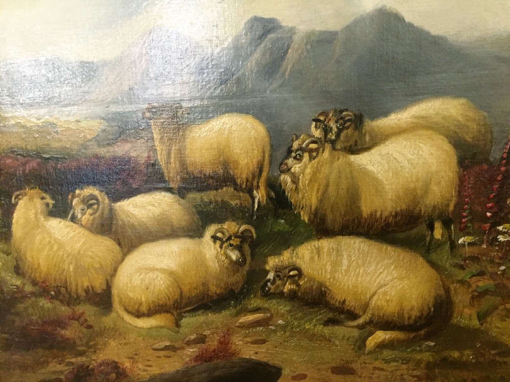 Alfred Morris Renowned English Painter, Large Highland Sheep Oil 1873 View X