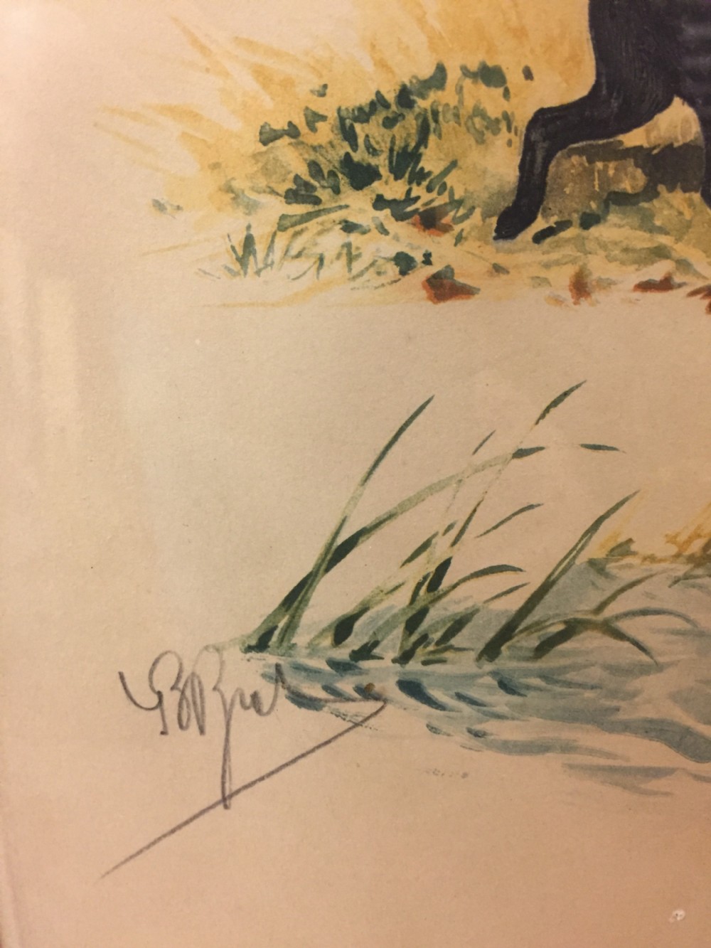 Original French Lithograph of a Hunting Labrador c.1910 View V