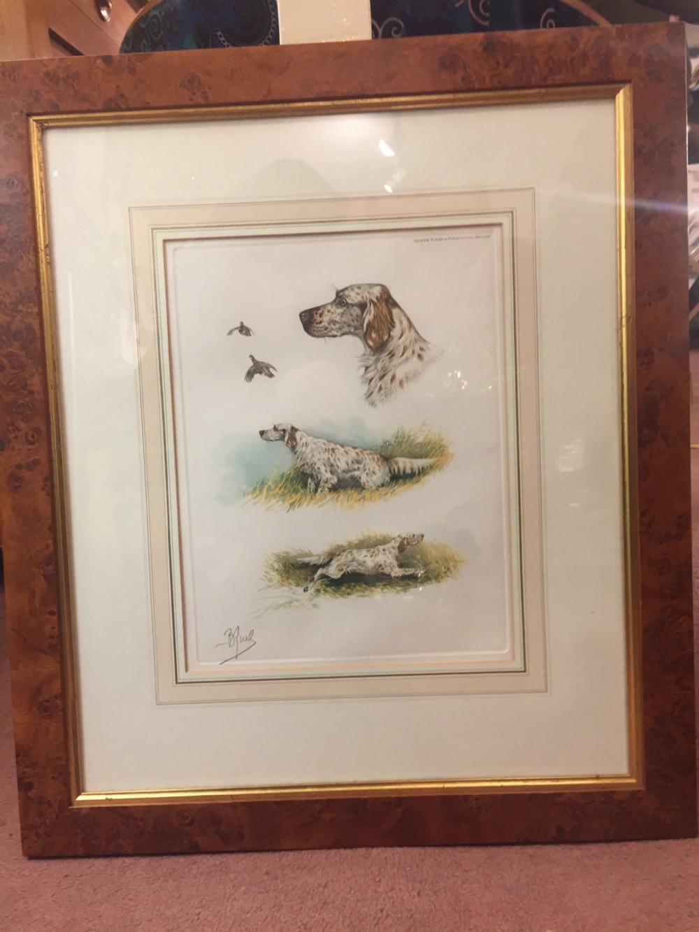 Original French lithograph of a spaniel c.1910