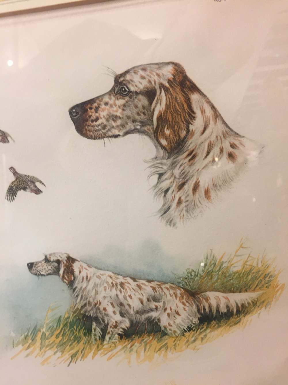 Original French lithograph of a spaniel c.1910 View II