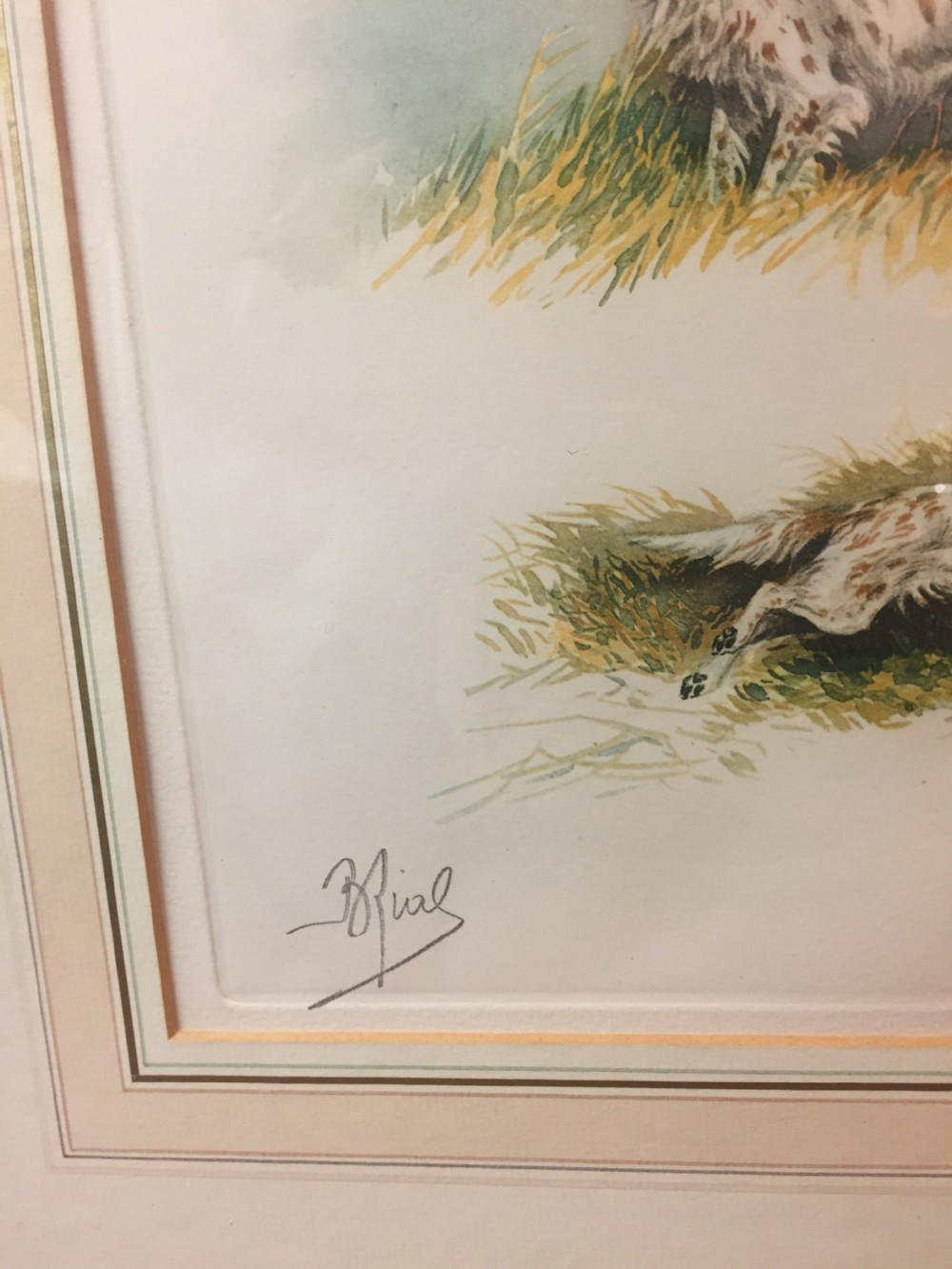Original French lithograph of a spaniel c.1910 View III
