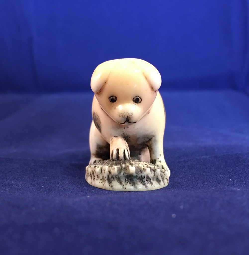 Meiji Period Ivory Netsuke of Puppy Holding an Abalone Shell