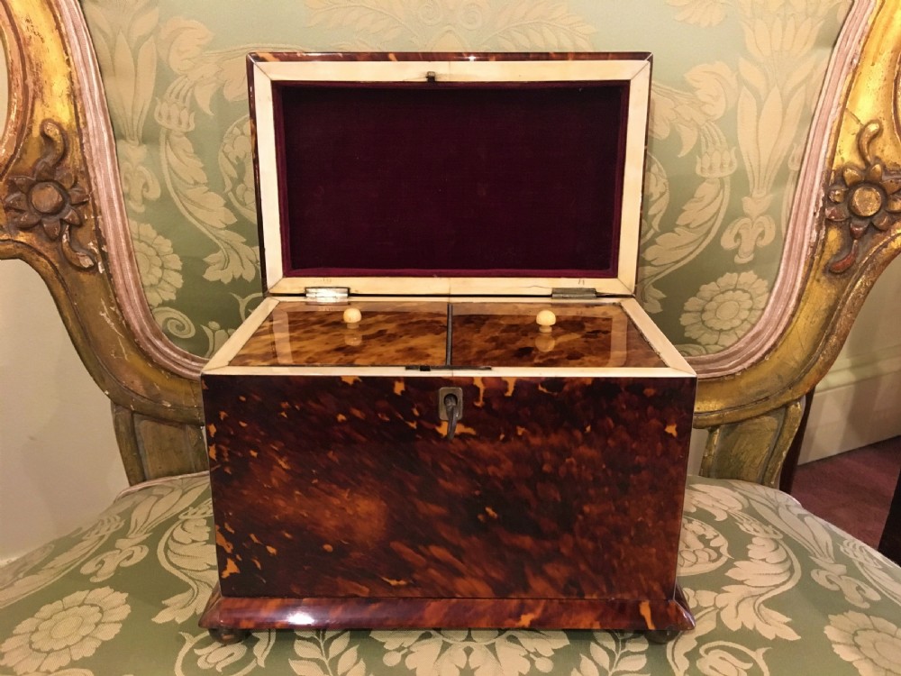Georgian Tortoiseshell Tea Caddy Trimmed with Silver & Ivory View II