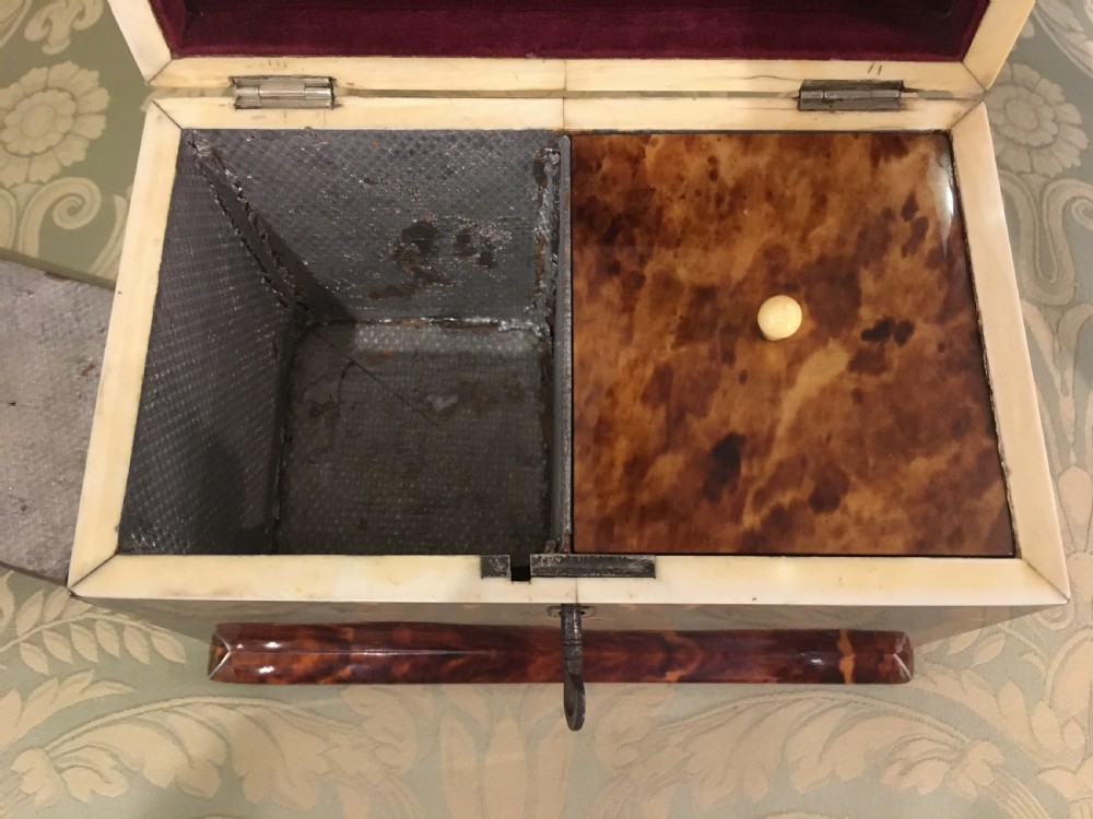 Georgian Tortoiseshell Tea Caddy Trimmed with Silver & Ivory View IV