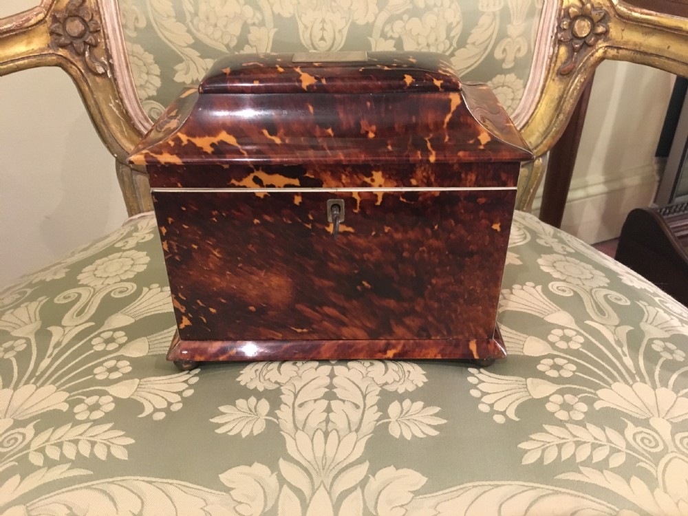 Georgian Tortoiseshell Tea Caddy Trimmed with Silver & Ivory View VI