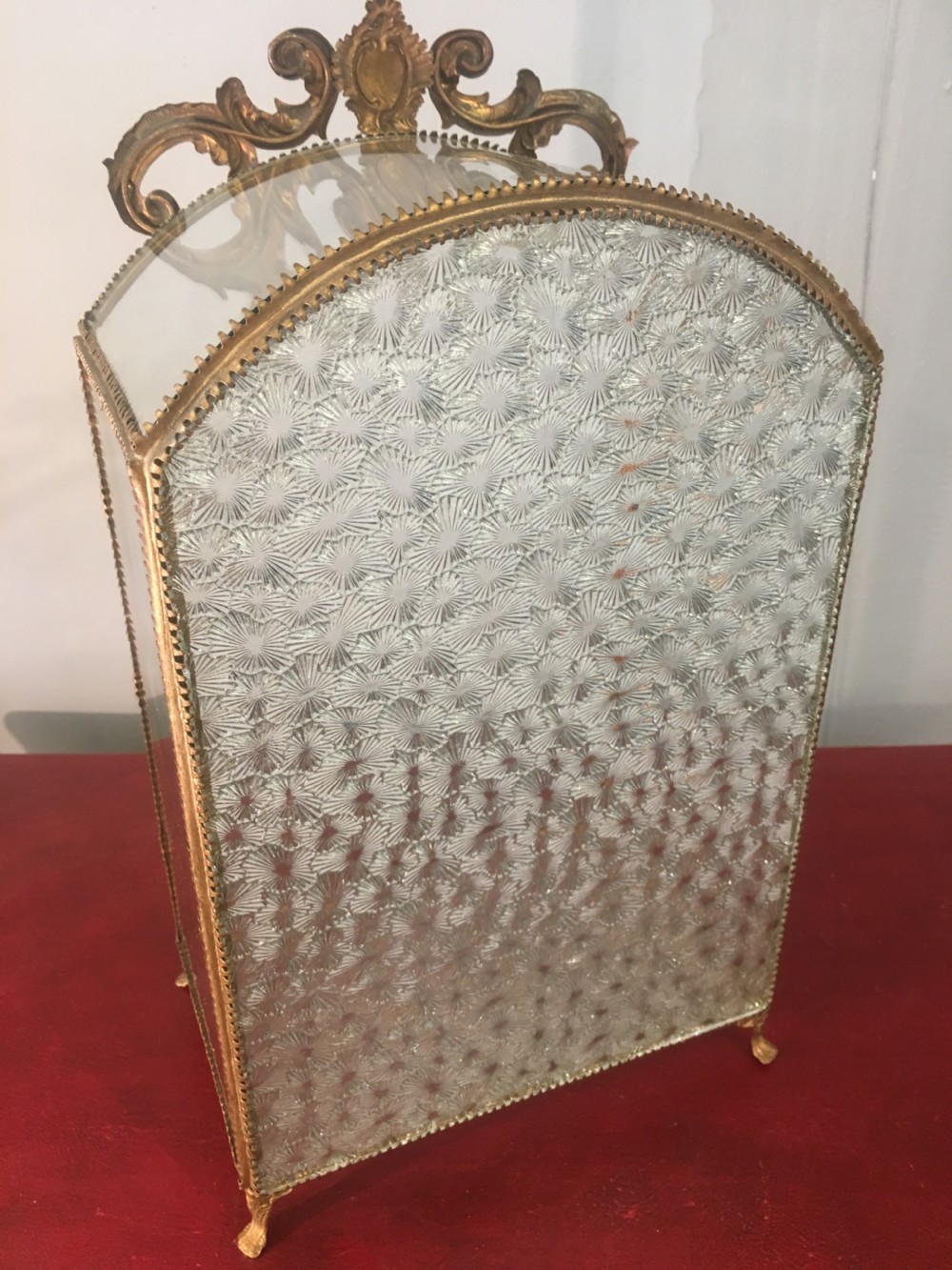 Original French Display Case C19th View III